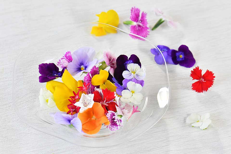 食用花（生花）一覧 | EDIBLE GARDEN