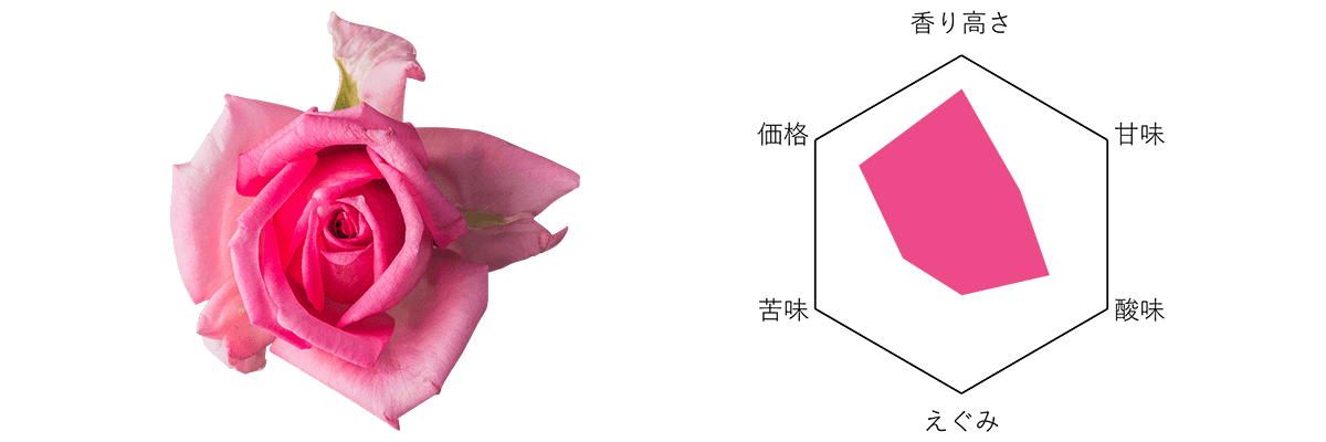 Nobel Rose オーバーナイトセンセーション