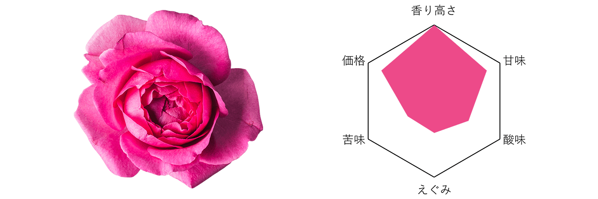 Nobel Rose イブピアッチェ