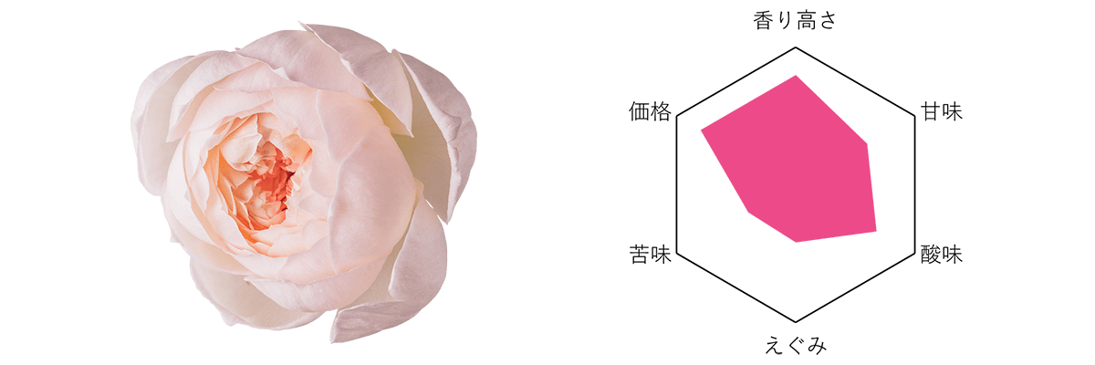 Nobel Rose ボレロ