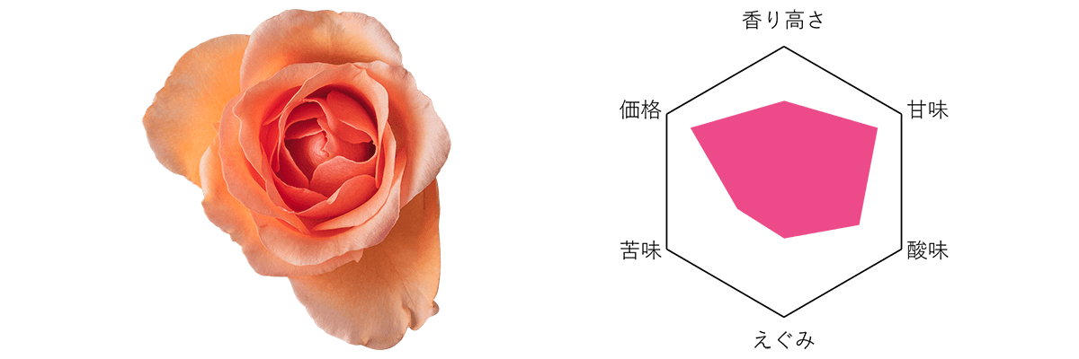 Nobel Rose フレグラント アプリコット