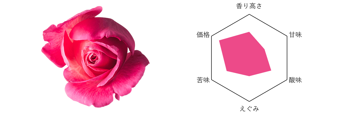 Nobel Rose 恋結び