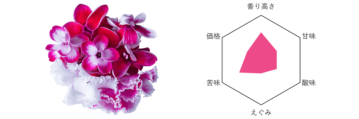 オイシイハナ ミニシクラメン