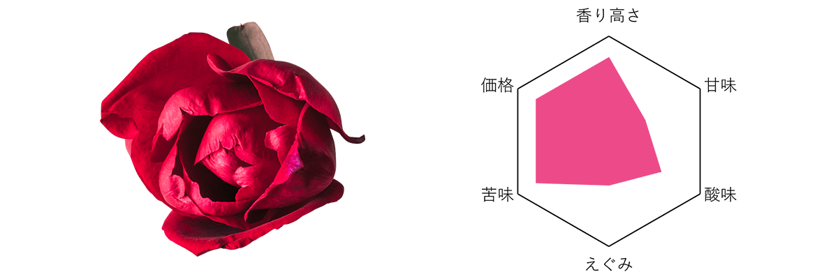 Nobel Rose ミスターリンカーン