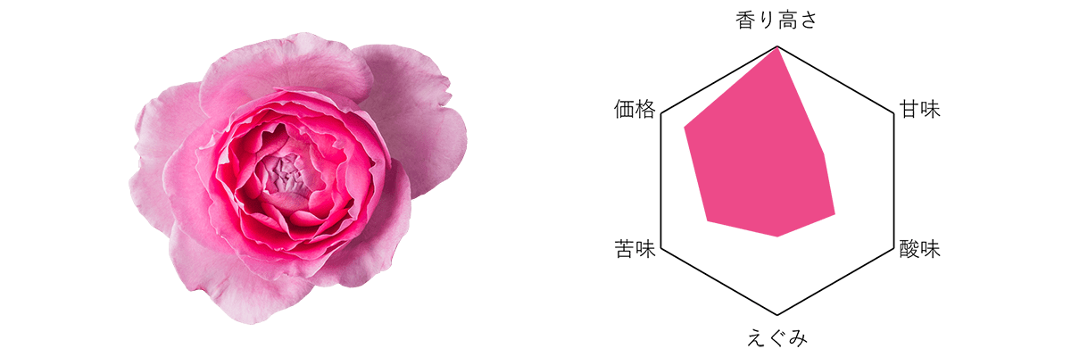 Nobel Rose トワパルファン